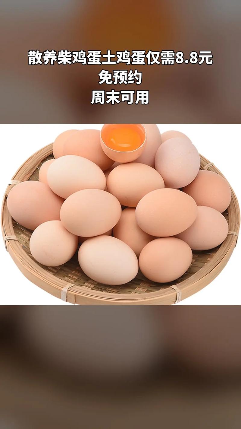 鲜蛋小屋 散养柴鸡蛋与土鸡蛋的火锅新吃法